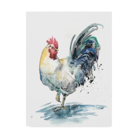 Melissa Wang 'Rooster Splash I' Canvas Art,14x19